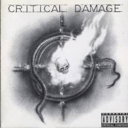 Critical Damage : Critical Damage